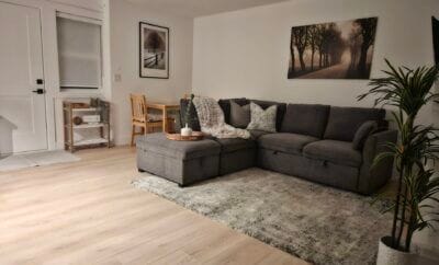 Brand New Cozy 1 bedroom, 1 bathroom plus a pull out sofa bed.