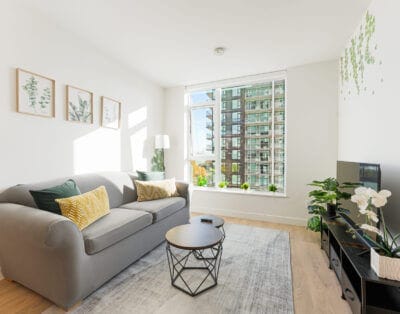 Beautiful and Modern City Oasis